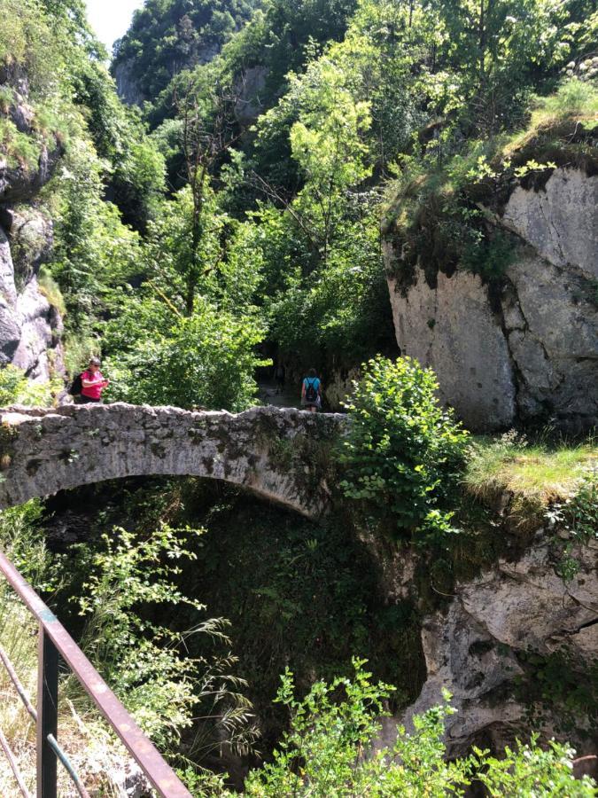 Au Pied Du Vercors Tout Est Permis La Riviere  Exterior foto